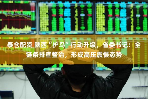 泰仓配资 陕西“护鸟”行动升级，省委书记：全链条排查整治，形成高压震慑态势