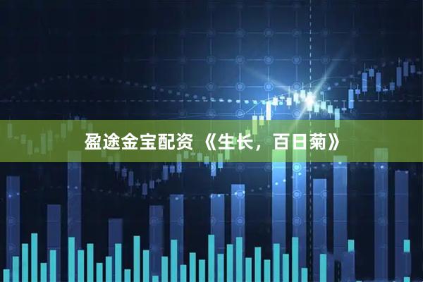 盈途金宝配资 《生长，百日菊》