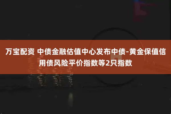 万宝配资 中债金融估值中心发布中债-黄金保值信用债风险平价指数等2只指数