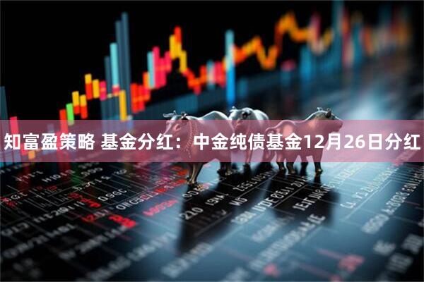 知富盈策略 基金分红:中金纯债基金12月26日分红